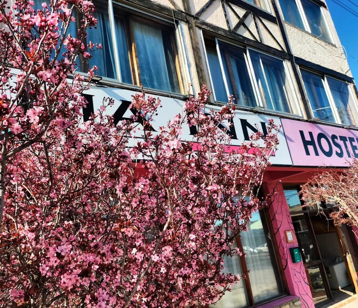Italia Inn Hostel Σαν Κάρλος ντε Μπαριλότσε Εξωτερικό φωτογραφία
